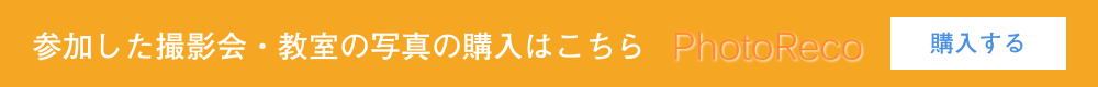 参加した撮影会・教室の写真の 購入はこちら【フォトレコ】